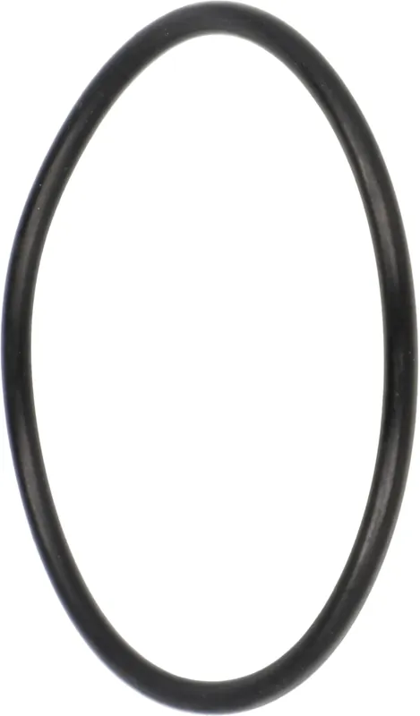 Fendt O-Ring 51 x 2,5 mm, für Antrieb, Hydraulik, Fahrwerk Traktor, X548929066000 Markenprodukt