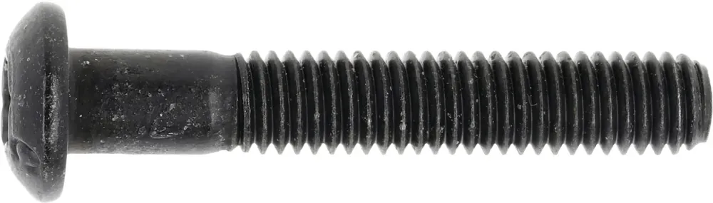 Abverkauf Fendt Linsenkopfschraube ISO 7380 5 x 30 mm, X463320600000