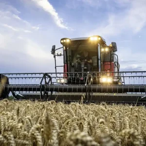 Abverkauf Massey Ferguson Mähdrescher "MF Activa"