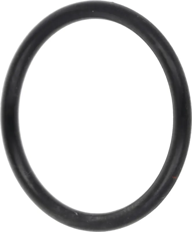 Fendt O-Ring 20 x 2 mm, für Einspritzventil Traktor Farmer 100, 200, 300, Favorit 600, Geräteträger, X548860466000 Sichere Zahlung