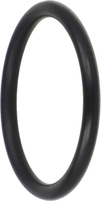 Sichere Zahlung Fendt O-Ring 24 x 1,5 mm, NBR 70, für Traktor Fendt, Massey Ferguson, Valtra, Feldhäcksler Fendt, X548871466000