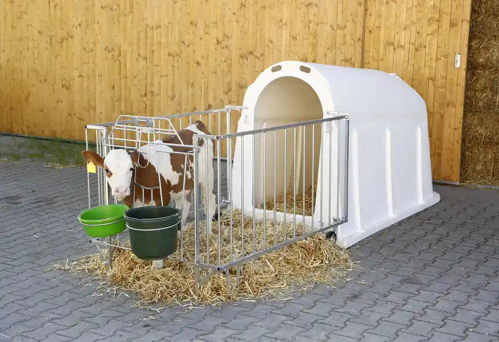Neuheit Kälberiglu CalfHouse PE UV+
