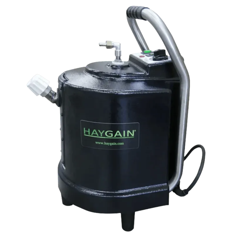 HG01 Dampfgenerator 2 kW Günstig
