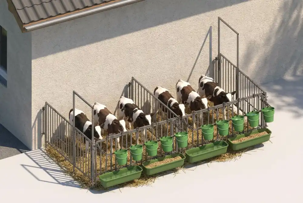Doppelset für 2 x 3er Kälbergruppe, modulare Zaunaufstallung Mega-Angebot