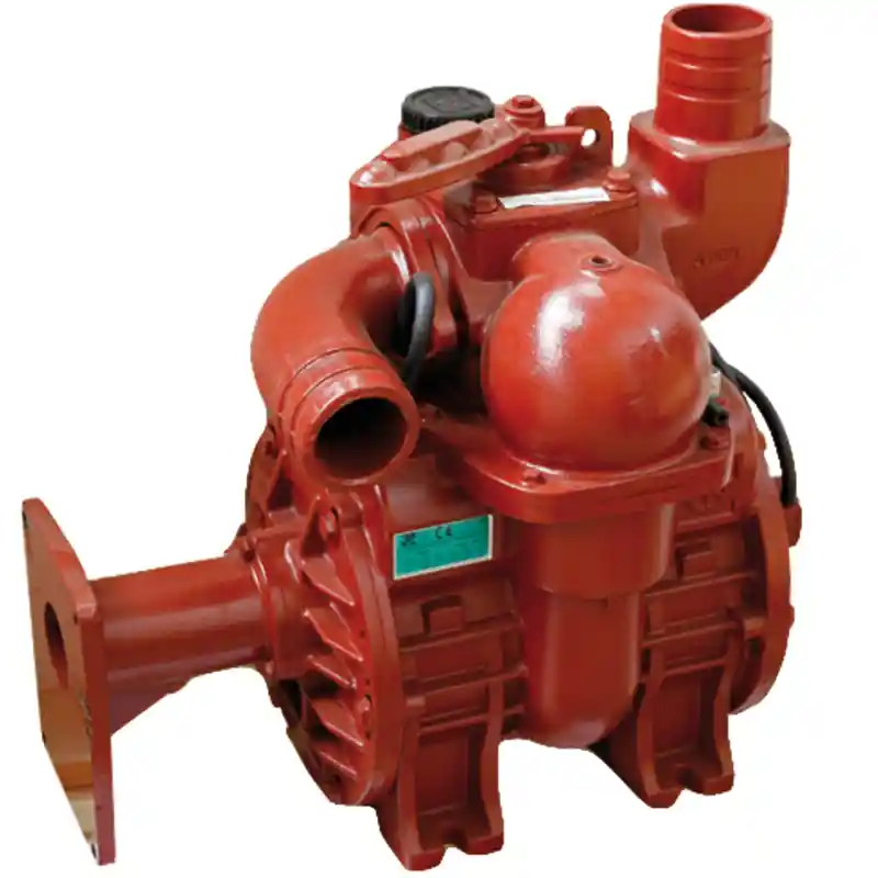 Battioni Pagani B&P Vakuumpumpe MEC II 11000 rechtsdrehend Kapazität 11137 Zwangsschmierung Günstig
