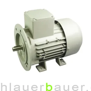 Motor für Packo / Fullwood Milchpumpe 380 Volt, 0,75 kW Super-Preis