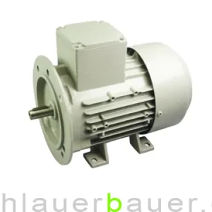 Motor für Packo / Fullwood Milchpumpe 230 Volt, 0,75 kW Sonderaktion