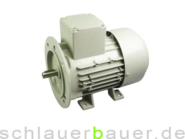 Motor für Packo / Fullwood Milchpumpe 230 Volt, 0,75 kW Sonderaktion